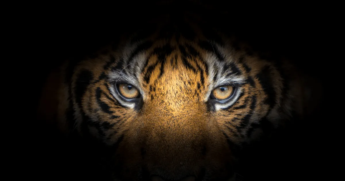 Top Motivational Quotes to Fuel Career, Personal Growth, Health, and Relationships