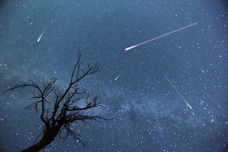 Experience the 2025 Lyrid Meteor Shower: A Celestial Event to Inspire Awe and Curiosity