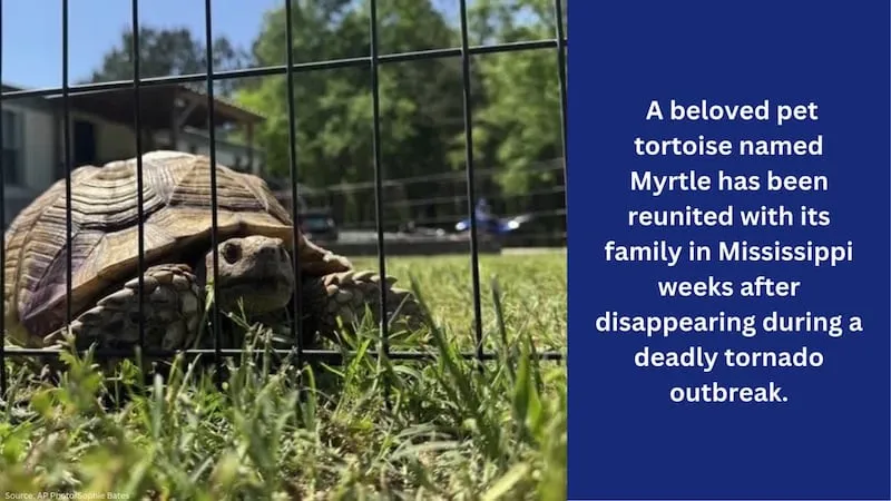 Myrtle Reunited with Family