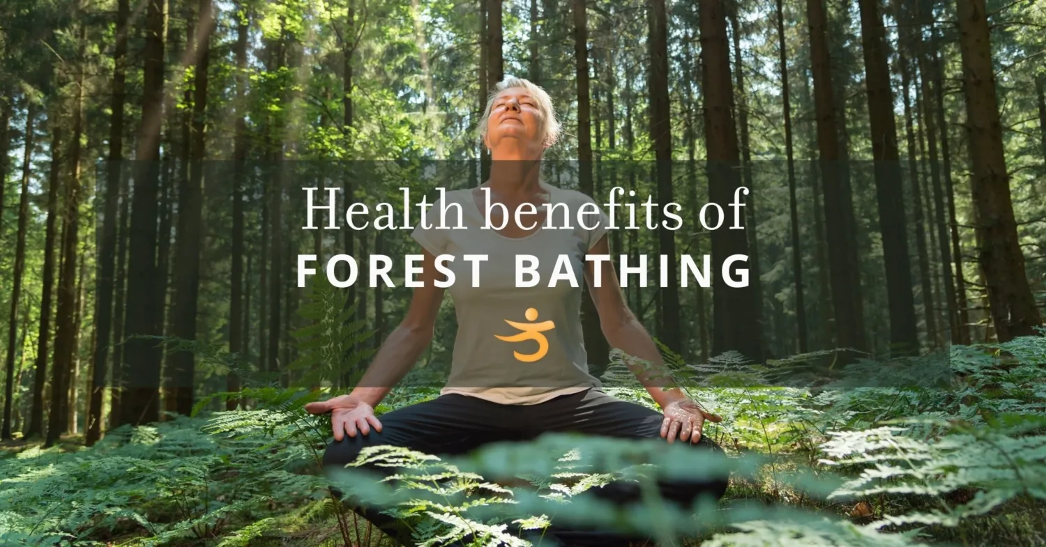 The Healing Power of Shinrin-Yoku: Reconnect with Nature for Stress Relief and Wellness