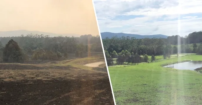 Nashik Sees Significant Improvement in Air Quality After Rainfall