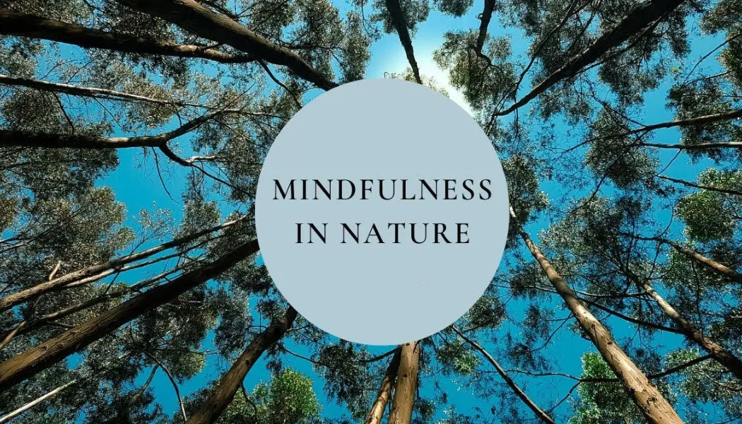 Mindfulness in Nature: Reconnect with the World Around You for Better Well-Being