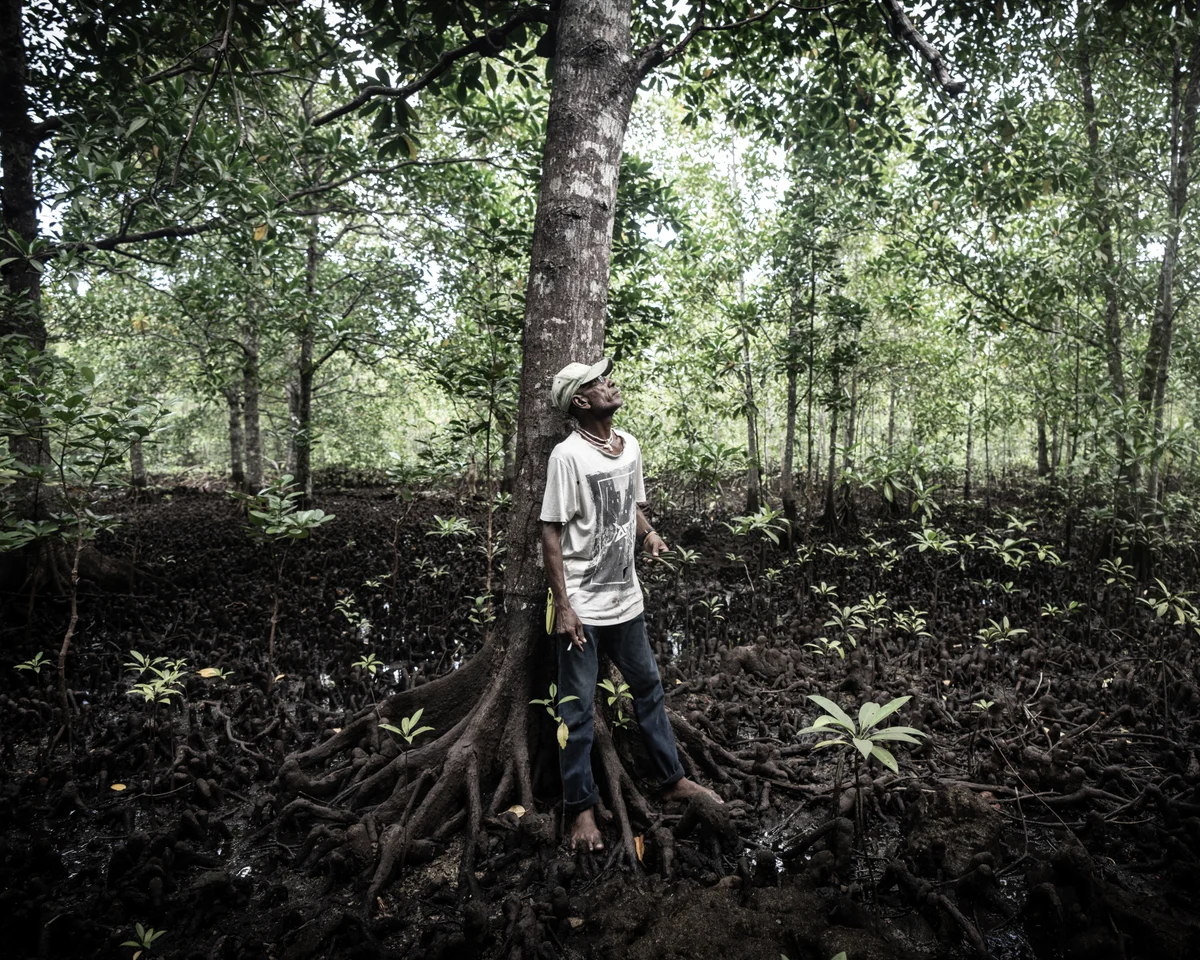 Mangrove Miracle: One Leader Restores 40,000 m² in Solomon Islands