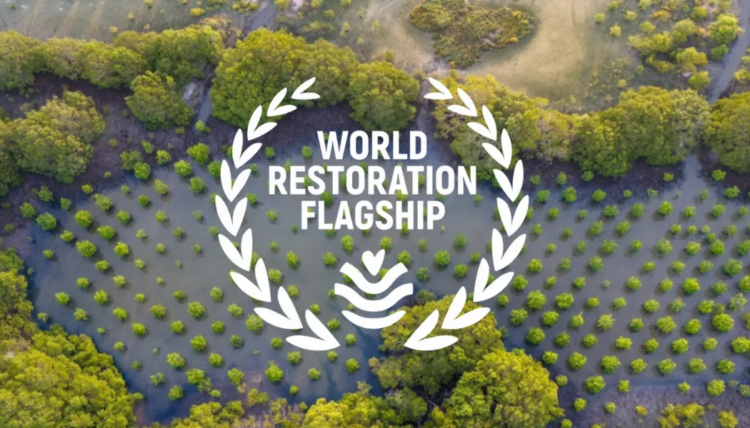 UN World Restoration Flagships: 7 Global Projects Reviving Ecosystems