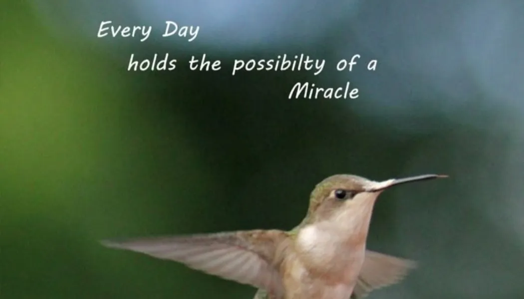 Every Day Holds the Possibility of a Miracle: Embracing Life’s Small Wonders