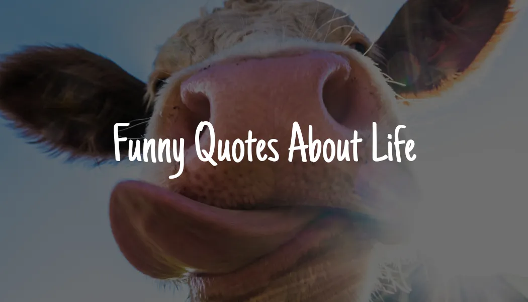 Funny Quotes About Life