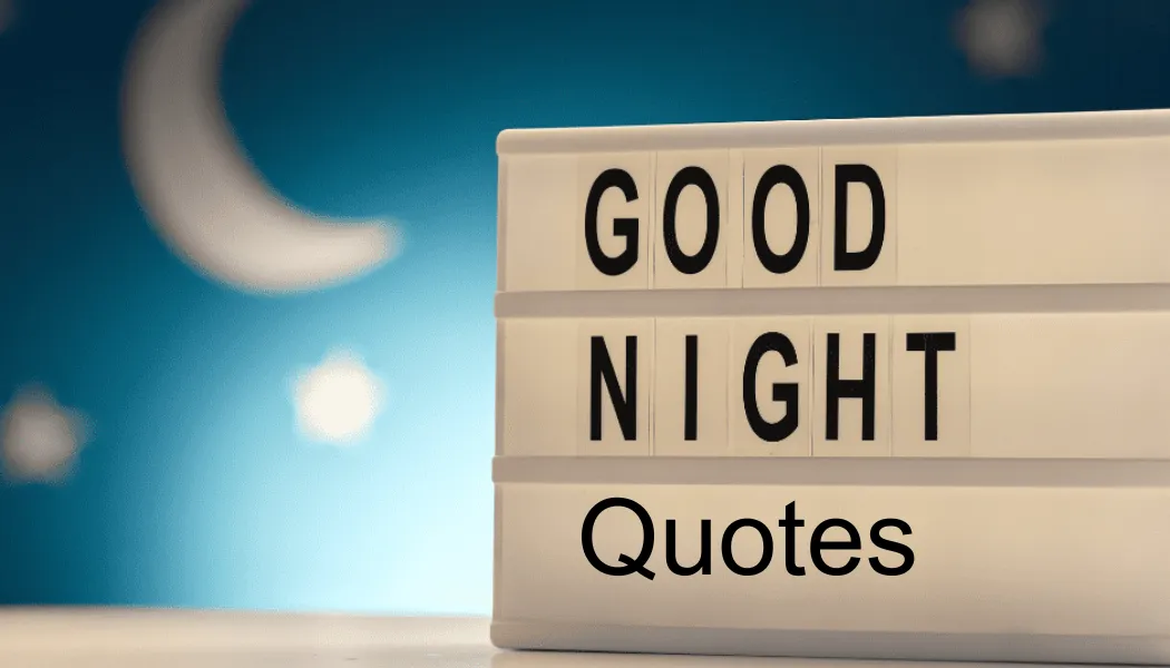Good Night Quotes