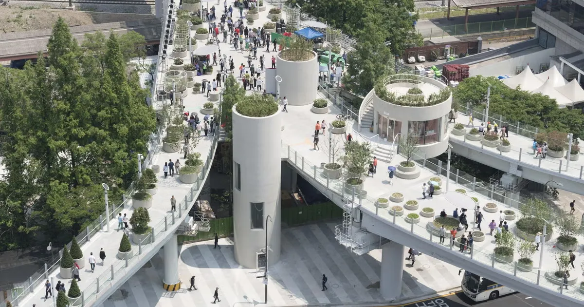 The Kindness Garden: Forgotten Rooftop in South Korea Blossomed Into a Garden.