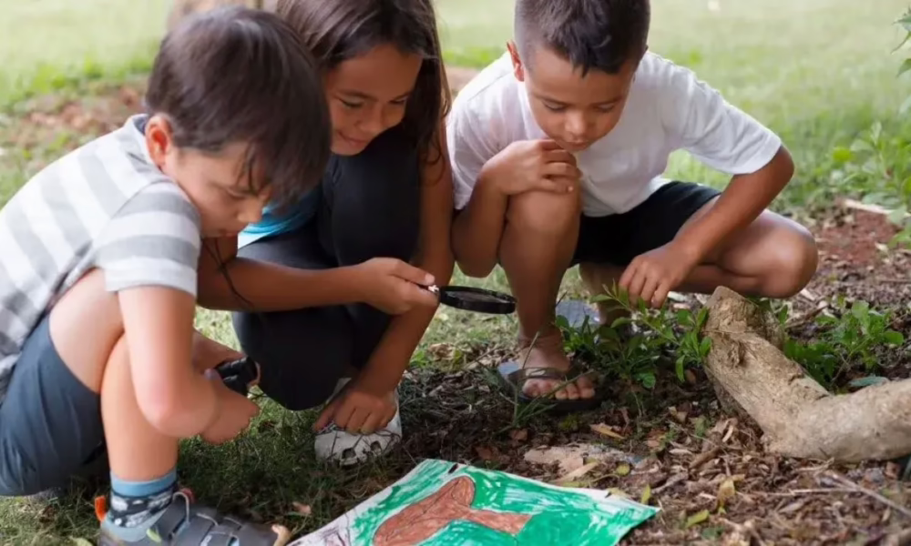 Sekolah Pelita Harap