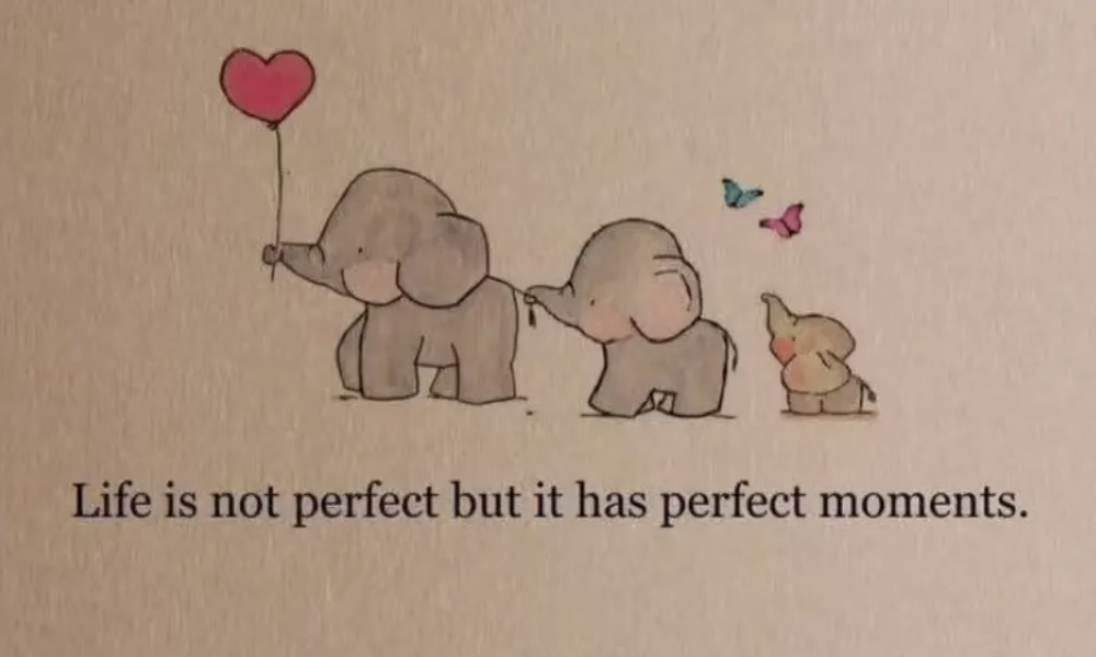 Life Is Not Perfect, But It Has Perfect Moments
