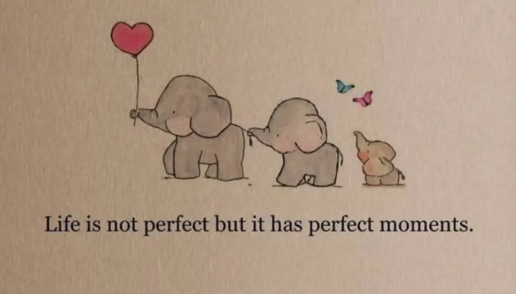 Life Is Not Perfect, But It Has Perfect Moments