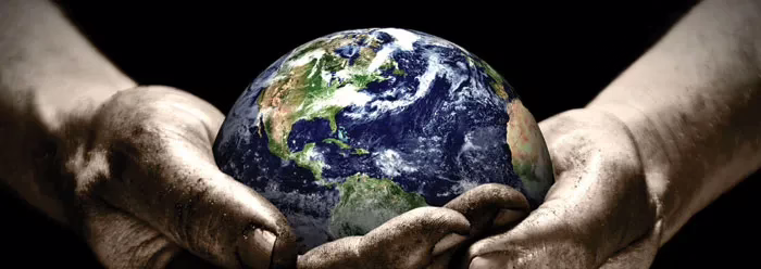 The Institute for Creation Research