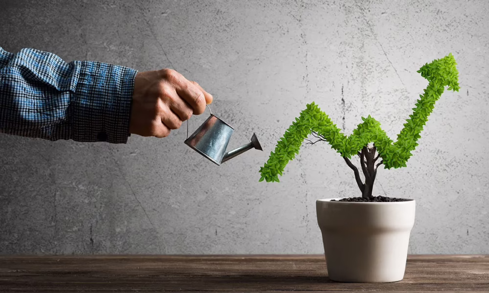 Ready Training Online