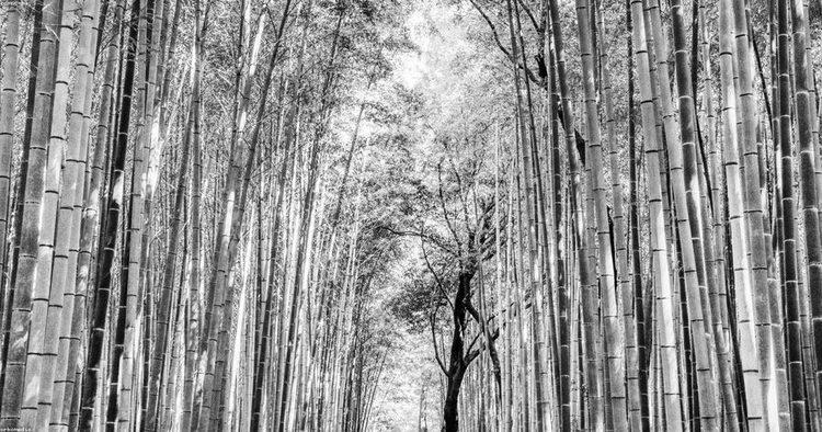 10 Life-Changing Tips for Daily Affirmations for Success | Positivity®