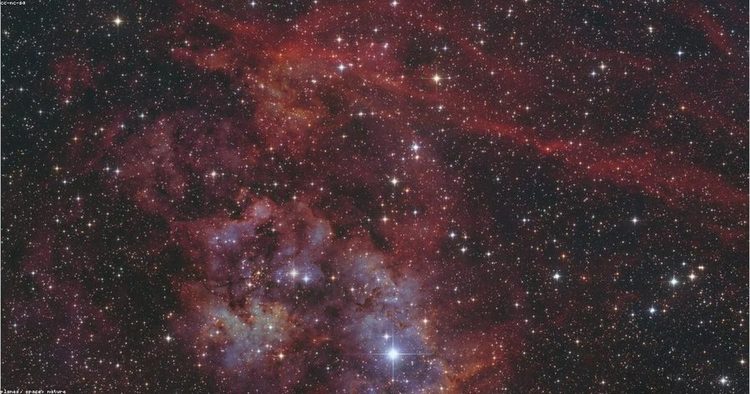 The Science Behind Daily Affirmations for Success | Positivity®