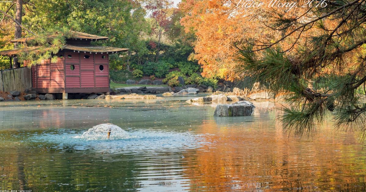 10 Life-Changing Tips for Mindfulness Techniques for Anxiety | Positivity®