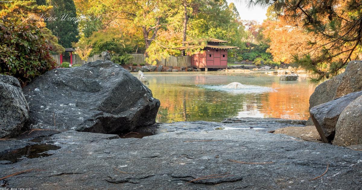 Overcoming Challenges in Mindfulness Techniques for Anxiety | Positivity®