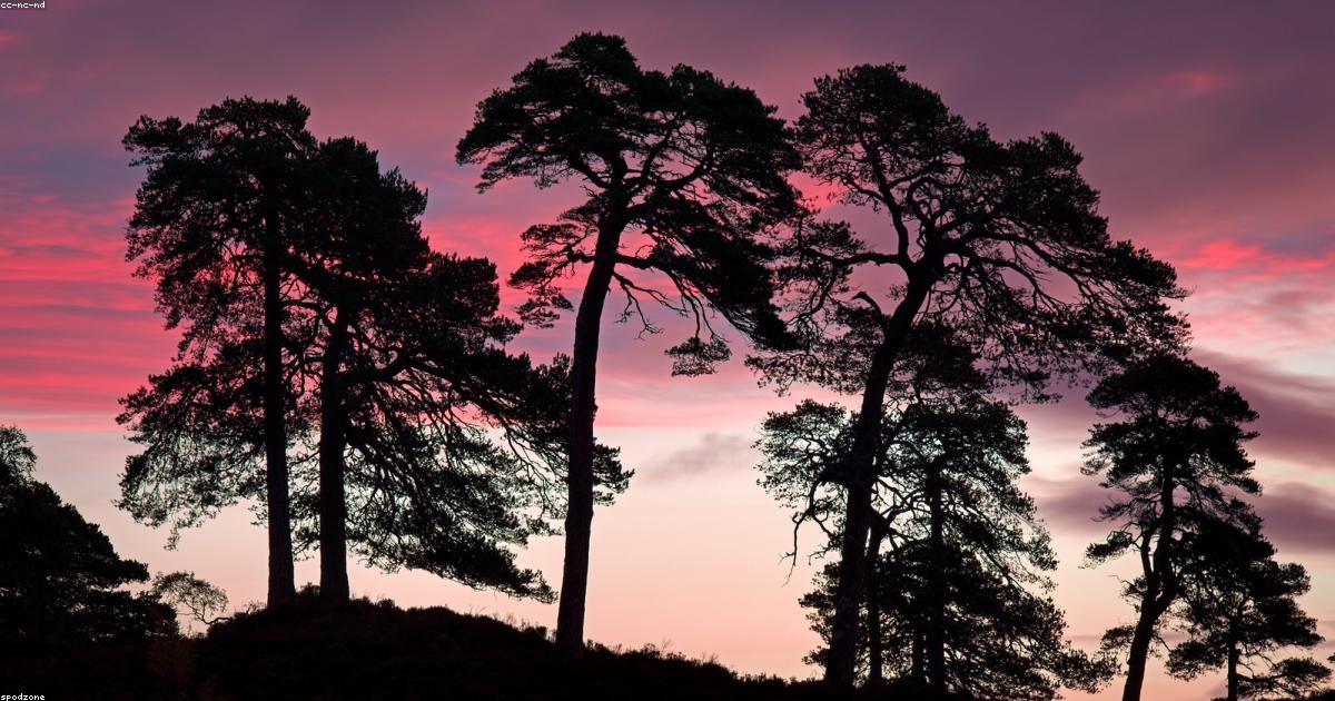 Overcoming Challenges in Benefits of Positive Thinking | Positivity®